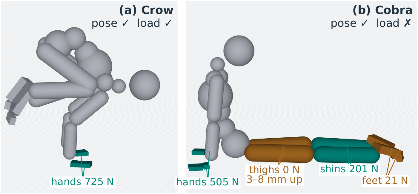 Two teacher holds rendered from recorded states: crow, where the hands carry the body's weight, and cobra, where the pose matches within 3 cm but the thighs carry 0 newtons and hover millimetres above the floor.